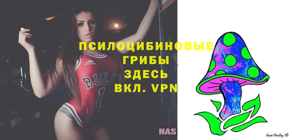 марихуана Абаза
