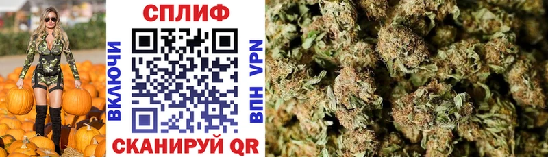 цены наркотик мега зеркало Конопля Bruce Banner Партизанск
